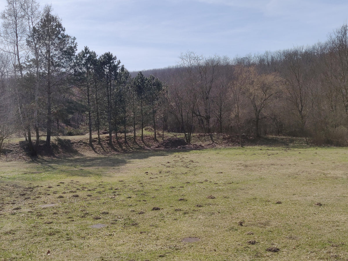 Győrújbarát Gyermektábor – a HajszaPark erdőszéli helyszíne a kivitelezés előtt